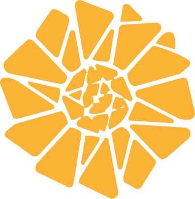 WordPress Site